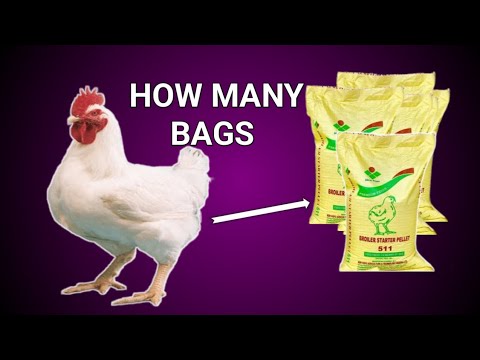 , title : 'How many BAGS of feeds to Raise 100 Broiler Meat Chicken for 8weeks - Broiler Chicken Feeding guide!'