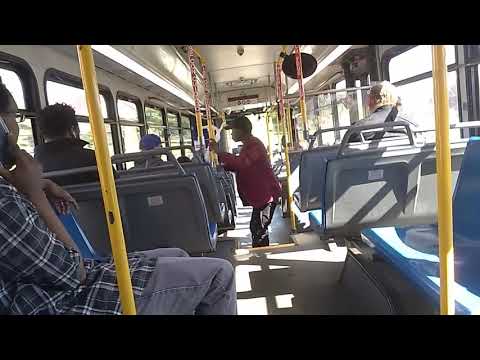 NFTA 2010 Gillig Low Floor #1056 on Route 44B Outbound