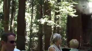 preview picture of video 'Roaring Camp & Big Trees behind Shay#1 Part 4'
