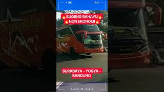 Download lagu SUGENG RAHAYU 🔥 NON-ECONOMIC | SURABAYA - YOGYA - BANDUNG #shorts #shortsfeed #shortsvideo #bus mp3
