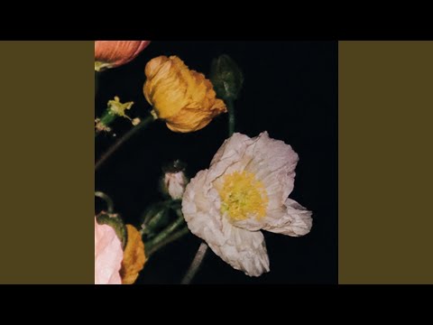 Lately (feat. Shane)