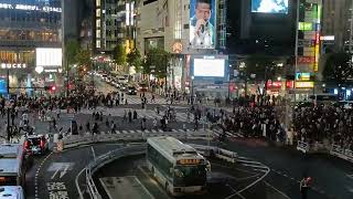 《’25.Oct.06》🚶‍➡️🚗🚥🚙🚶 #ShibuyaScrambleCrossing. ①