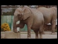 The Zoological Gardens The Dubliners Dublin Presented By Ronnie Drew 2005