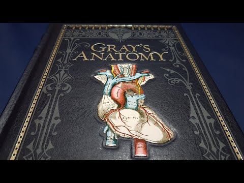 Gray's Anatomy: Barnes and Noble Leatherbound Review