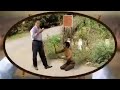 Jaisi Karni Waisi Bharni