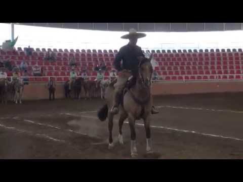 Programa Transmitido el: Cala de Caballo 48 Pts. "Lito" Davila