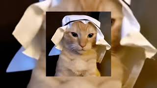 Download lagu habibi - dj gimi-o x albanian remix (sped up) mp3 Download lagu habibi - dj gimi-o x albanian remix (sped up) mp3