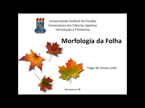 Botânica básica - Morfologia da folha (Organografia)