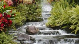 In Paradise by Otis Williams &amp; The Charms