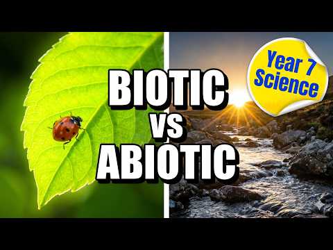 Year 7 Ecosystems: Biotic and Abiotic Factors