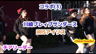 コラボ(3) 川崎ブレイブサンダース IRIS アイリス チアリーダー cheerleader