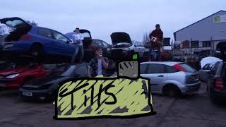 Rat Boy- Cash in Hand