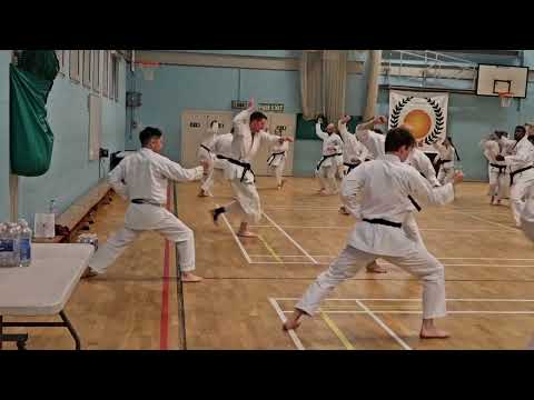 Kashu by Makita Sensei at the JKS England Spring Seminar