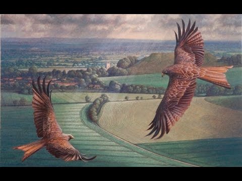 Harold Darke : Fantasy in E Major. James Lynch : Paintings.