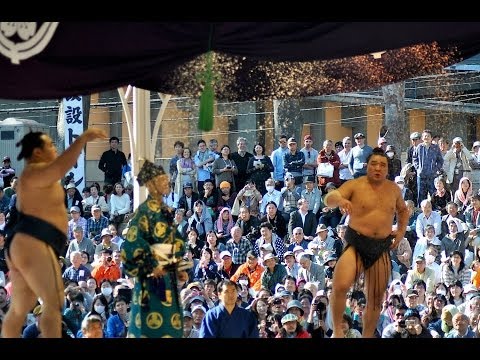 Harumafuji vs Kakuryu - Outdoor Sumo Yokozuna Match