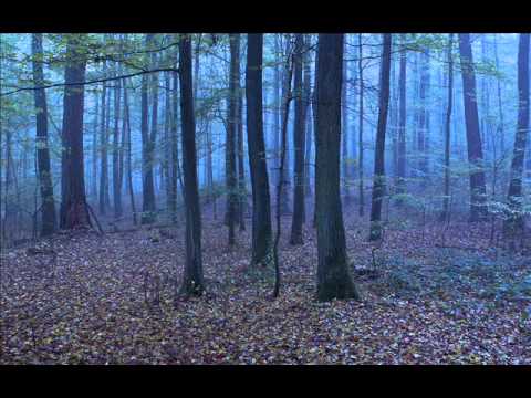download lagu mp3 mp4 Let Me Sign Robert Pattinson Free, download lagu Let Me Sign Robert Pattinson Free gratis, unduh video klip Let Me Sign Robert Pattinson Free