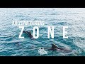 Arizona Zervas - Zone (ft. John Wolf)