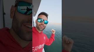 Ocean Adventure In Namibia