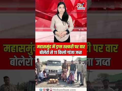 महासमुंद में ड्रग्स तस्करी पर वार: बोलेरो से 11 किलो गांजा जब्त,