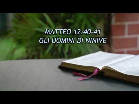 Matthew 12:40-41 || Biblical Reflection