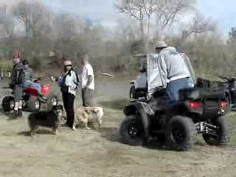 rzr  vs rincon
