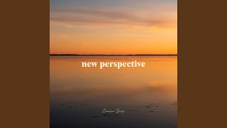 new perspective