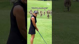 Golf Gone WILD 🐾 | Hardcore Animals