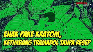 Download lagu Apa Rasanya Konsumsi Kratom? mp3
