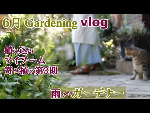 月の満ち欠け 月の下り 昇順 月 2022 年 6 月 菜園 果樹園