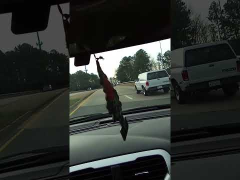 Dry Snitch video thumbnail