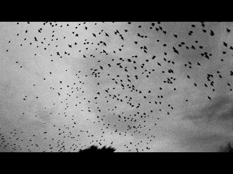 Video thumbnail for Carousel