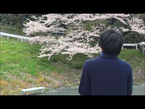 ドローンで花見