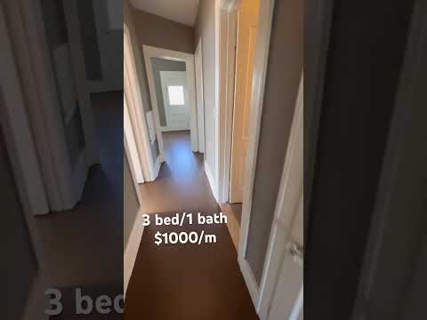 2732-2734 Clements - Video 2 of 2