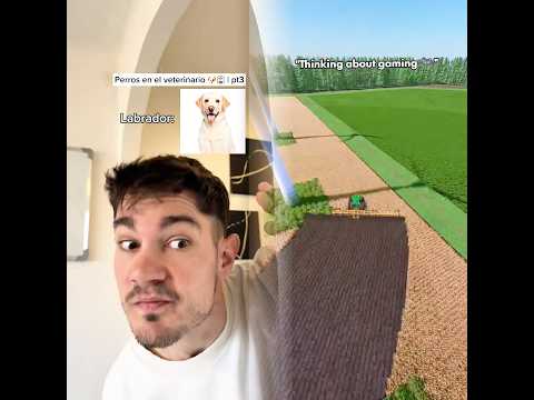 El tuyo como se porta? Jaja ✨ #humorperros #humorviral #humormascotas #perrosderisa #memesdeperros