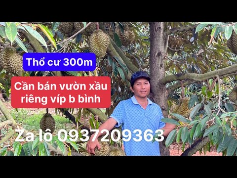 Cần bán lô đất xã bảo bình dt 1,3579m thổ cư 300m +nhà, vườn xầu riêng thu nhập. Cách nhựa 150m tới