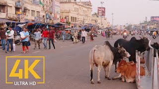 Everyday Life of Puri - 4K Travel Film - Incredibl