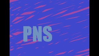 Video thumbnail for PNS Series: Getting Started with Blue Cat Audio Plug'n Script by Beats Basteln :3