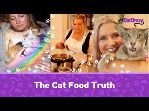 We Lost Two Cats… Then Discovered the Truth About Cat Food🐾