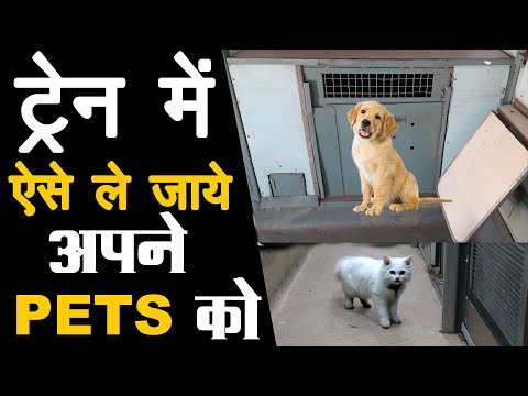 How to carry your pet in train: Rules and Charges