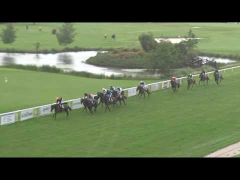 KV, 19. 6. 2016, 4. dostih - 88. Karlovarská dvojnásobná míle Karlovarského kraje