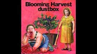 Download lagu Dustbox - Spacewalk mp3 Download lagu Dustbox - Spacewalk mp3