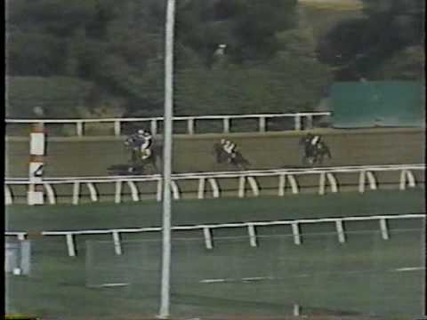Landaluce - 1982 Hollywood Lassie Stakes + Extra Camera Views