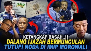 Download lagu 1201 SP 2 DEMOCRATIC ELITE BECOME THE MAIN SPONSOR OF SERAGAN mp3