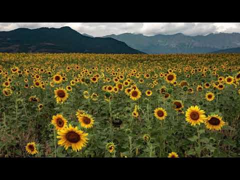 Komitas | 6 dances | Shoror #ArtsakhStrong