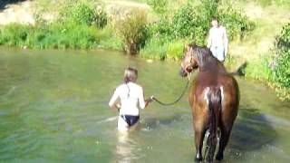 preview picture of video 'swimming with a horse 2'