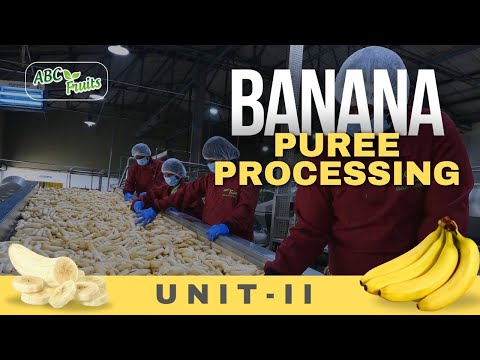 How Banana Pulp Is Processed In Factory? | Banana Pulp Processing | ABC Fruits, India