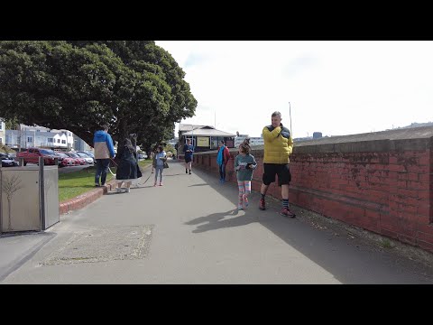 4K DJI Pocket 2 Walk | Oriental Bay - Lambton Quay (via Waterfront) | Wellington, NZ. October 2021.