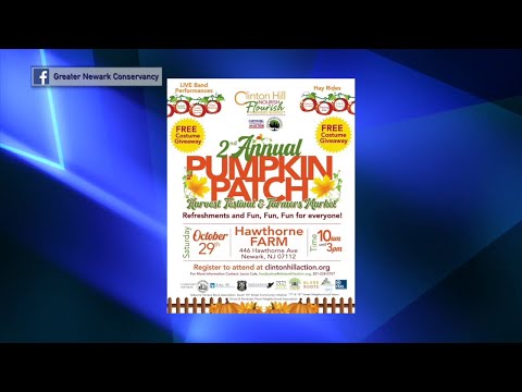 NJ Newark’s Second Annual Pumpkin Patch