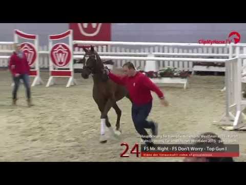 24 FS Mr. Right - FS Don't Worry - Top Gun I