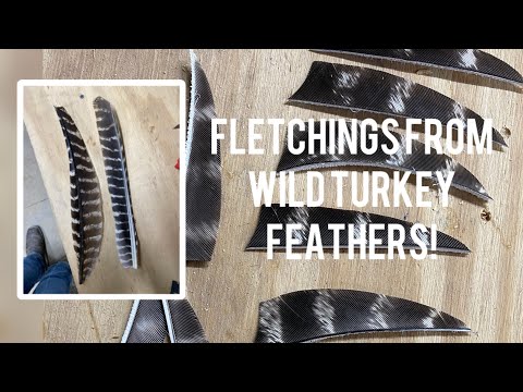 Processing Wild Turkey Feathers Into Fletchings